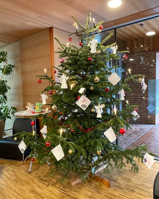 Wunschbaum in der Bücherei